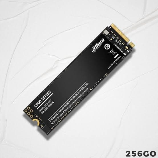 M.2 NVME DAHUA C900 256GB GEN3 2